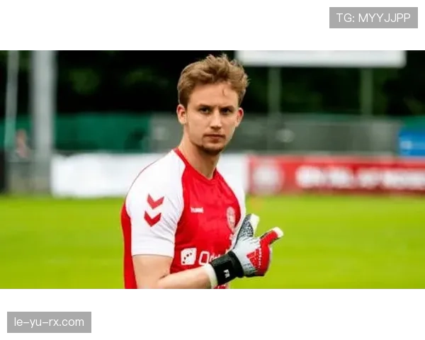 丹麦国家队以团队精神铸就辉煌，续写国际赛事历史佳绩