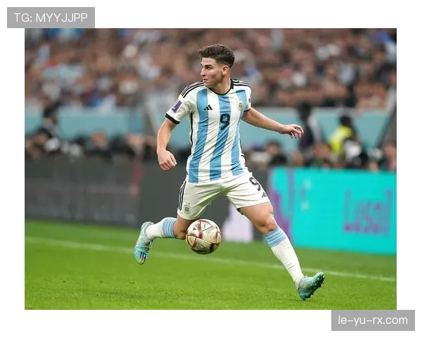 阿尔瓦雷斯南美顶级数据解析：河床爆发赛季表现